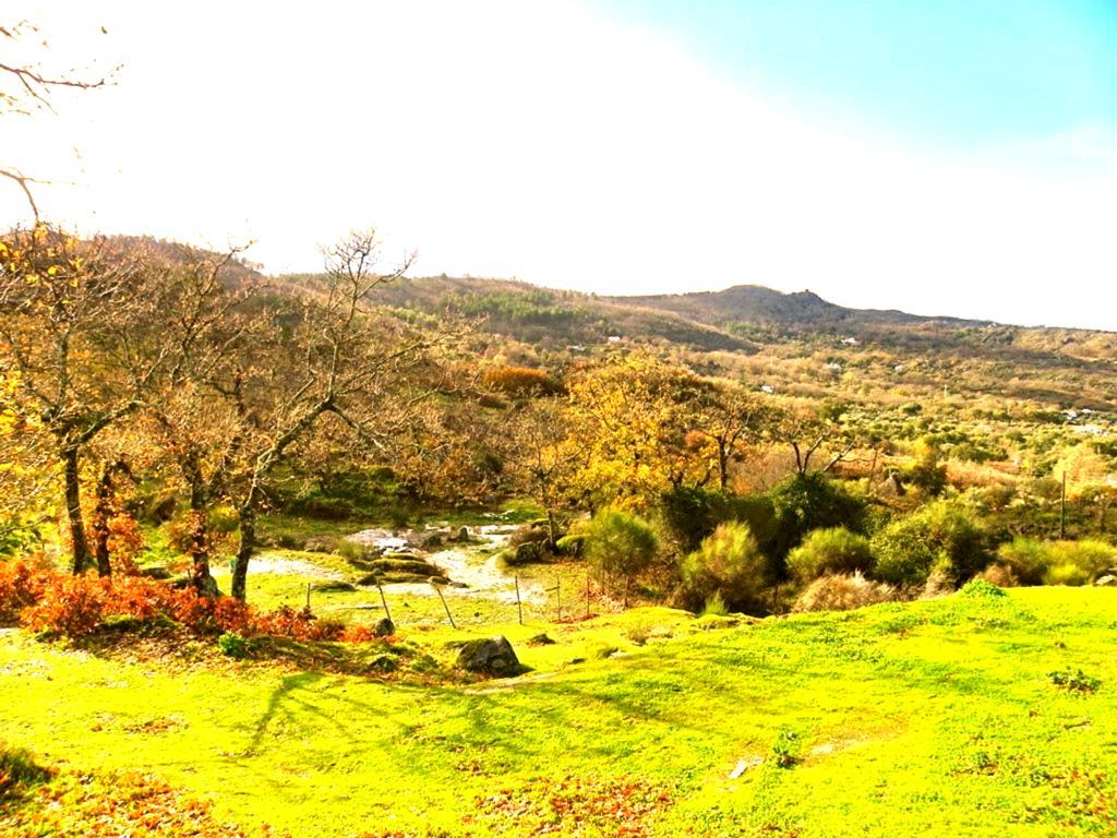 Гостьовий будинок Quinta Do Marvao Номер фото