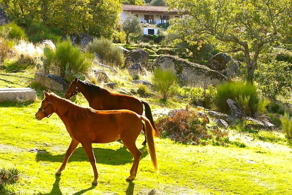 Гостьовий будинок Quinta Do Marvao Екстер'єр фото